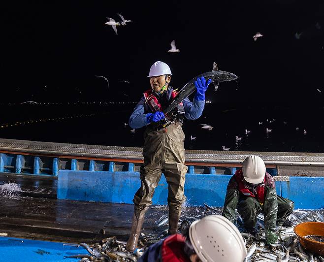 정청래 더불어민주당 대표가 지난달 28일 새벽 경북 영덕 앞바다에서 조업에 참여하고 있다. 민주당 제공