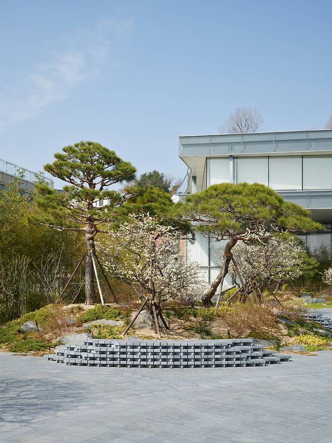 가브리엘 오로즈코가 조성한 리움 야외 정원. <리움>