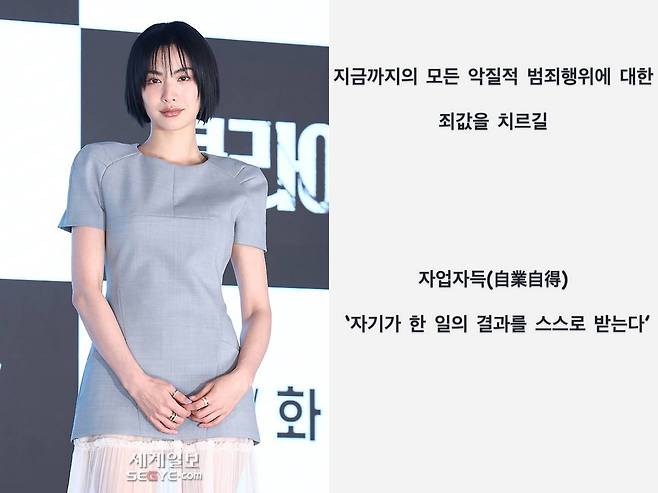 사진=세계일보 자료사진, 나나 SNS