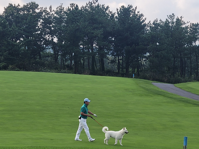 롯데스카이힐CC 제주에서 한 투숙객이 반려견과 함께 페어웨이를 걷고 있다. 사진 제공=롯데호텔앤리조트