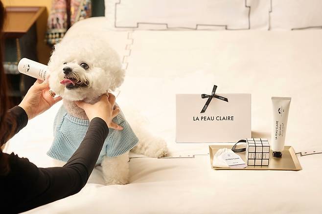 레스케이프호텔이 반려견 동반 투숙객을 위해 선보인 ‘펫 패키지’ 구성. 객실 내에서 반려견 전용 어메니티를 체험할 수 있도록 꾸며졌다. 사진 제공=조선호텔앤리조트