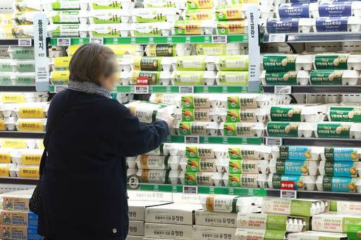 서울의 한 대형마트 계란 판매대 모습. / 연합뉴스