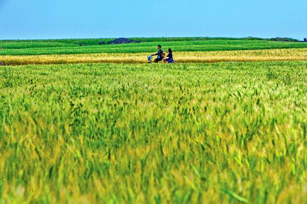 가파도는 자전거 투어 인기 여행지다.  <서귀포시 제공>