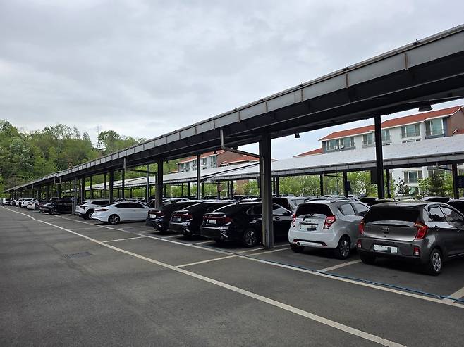 23일 포항시 남구 한 자동차매매단지에 내연기관 중고차가 주인을 찾지 못한 채 전시돼 있었으나 중고 전기차는 찾아볼 수 없었다.