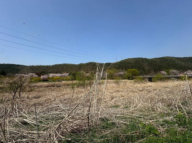 경기 용인시 처인구 남사읍 일대 전경. 논과 밭을 중심으로 산이 둘러싼 모습으로 토지보상은 평지 위주로 상당 부분 진행됐지만 임야 보상은 더딘 상황이다.(이수진 기자 abc123@)