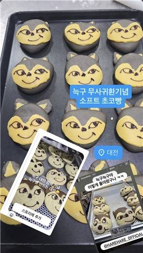 하레하레에서 출시한 '늑구빵'.(하레하레 공식 인스타그램 갈무리, 연합뉴스)