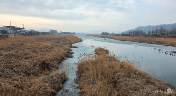 수촌리고분군 가는 길에 본 정안들과 정안천_웅진 천도 후의 백제가 '갱위강국' 할 수 있었던 것은 바로 이런 들판의 경제적 뒷받침이 있어서 가능했다.