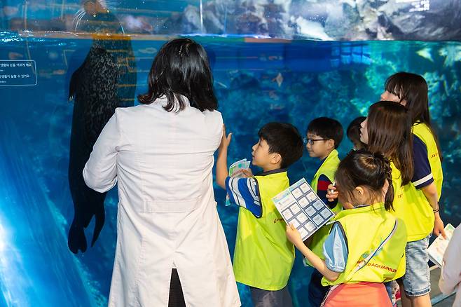 아쿠아리움 패밀리 캠프(롯데월드 아쿠아리움 제공)