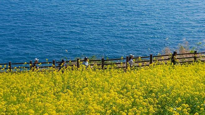 오레브리조트와 맞닿아 있는 제주 올레길 7코스