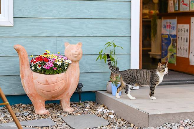 알록달록한 목조 주택으로 이뤄진 마을에는 고양이 두 마리도 함께 산다.