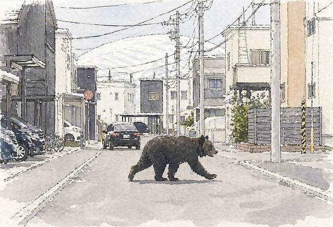 곰이 주택가 도로를 횡단하는 모습. 기사의 이해를 돕기 위해 생성형 인공지능(AI)으로 제작한 이미지입니다.
