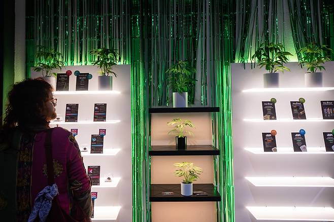 텍사스 오스틴의 메리재 대마초 약국. AP연합뉴스