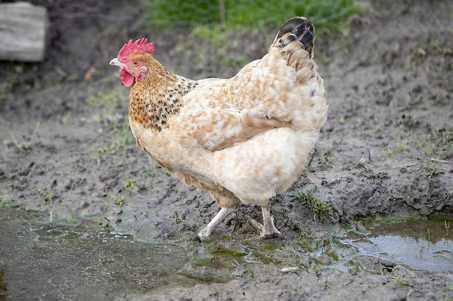사진은 기사와 무관함 [게티이미지뱅크]