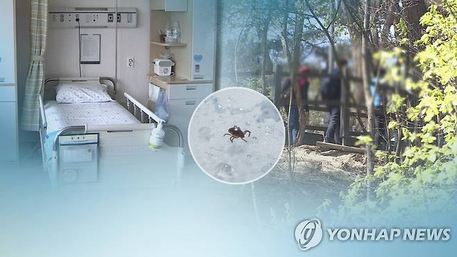 진드기 매개 SFTS(CG) [연합뉴스TV 제공]