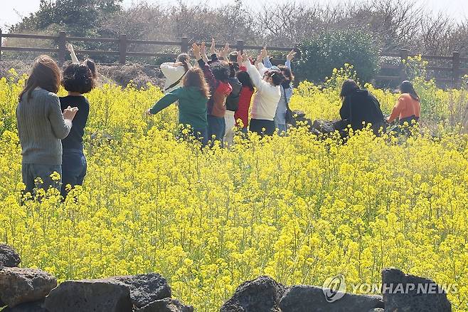 노란 물결 제주 유채꽃밭 (서귀포=연합뉴스) 고성식 기자 = 21일 맑은 날씨를 보인 제주 서귀포시 성산일출봉 부근 유채꽃밭에서 관광객들이 사진을 찍는 등 만발한 유채꽃 풍경을 즐기고 있다. 2026.3.21 koss@yna.co.kr