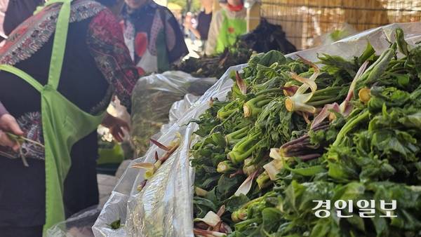 24일 경기 동부권 최대 축제 중 하나인 ‘제16회 양평 용문산 산나물 축제’가 수많은 방문객의 시선과 입맛을 끌어당기며 성대한 개막의 나팔을 불었다. 상인들이 산나물을 판매하고 있다. 26.4.24 양평/장태복기자 jkb@kyeongin.com