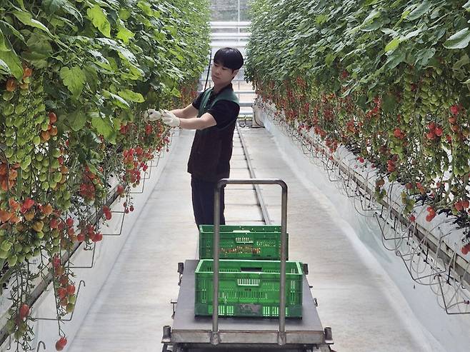 사진: GS리테일 제공