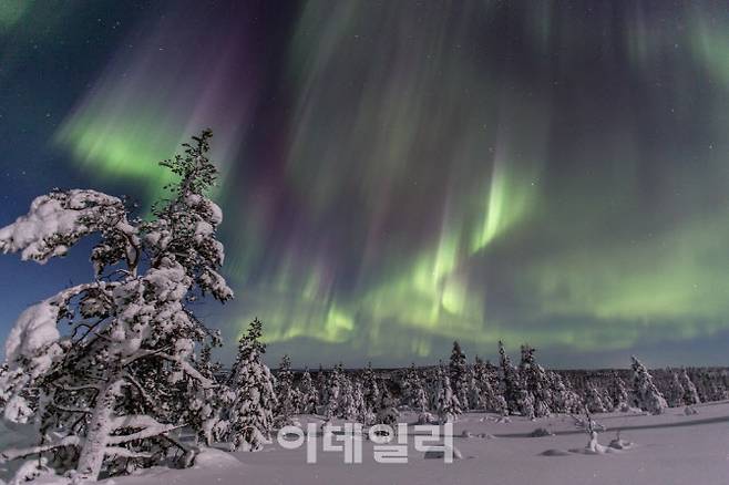 핀란드 라플란드 이나리 시 이발로 마을에서 바라본 오로라 (사진=라플란드 노스 데스티네이션스)