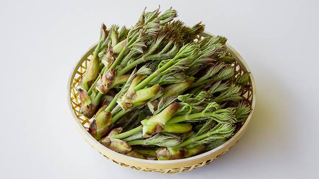 두릅은 대표적인 봄 제철 식재료로 혈당 조절과 혈중 지질 개선에 도움 된다｜출처: 클립아트코리아