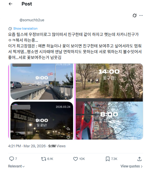 셋로그 이용 후기를 담은 추천 게시물이 엑스(X)에서 높은 조회수와 재게시 수를 기록하고 있다. X 캡처.