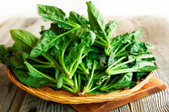 시금치에는 뼈, 시력 등에 좋은 여러 영양소가 포함돼 있다. 사진은 시금치. [사진=픽사베이]