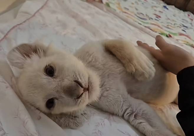 사진=대전 아쿠아리움 인스타그램 갈무리