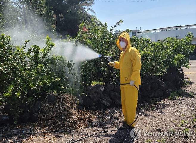 병충해 방역 작업하는 손주민씨 [손주민씨 제공.재판매 및 DB 금지]