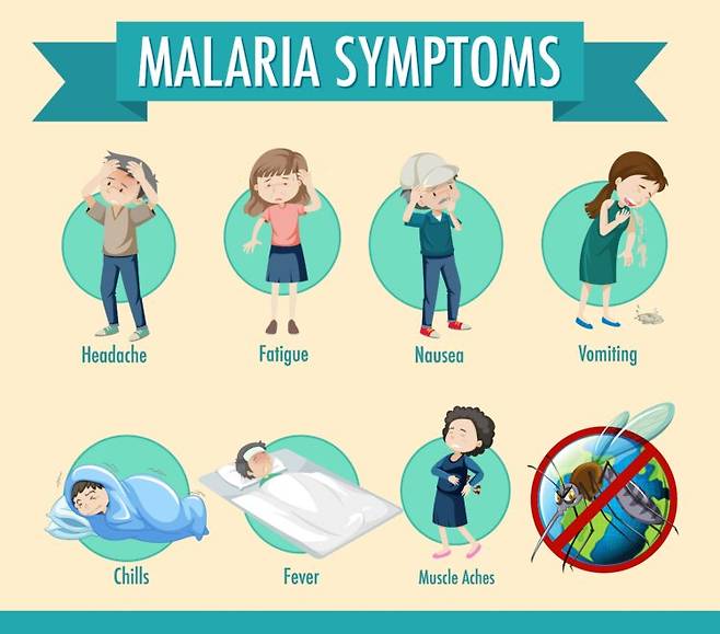 말라리아 주요 증상을 나타낸 인포그래픽. 감염된 모기에 물린 뒤 잠복기를 거쳐 발열·오한 등의 증상으로 나타난다. 아프리카·동남아 여행 후 귀국해 원인 모를 고열이 반복된다면 즉시 의료진에게 여행 이력을 알려야 한다. [사진=게티이미지뱅크]