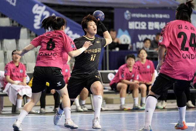 사진제공=한국핸드볼연맹