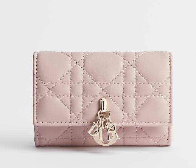 마이 디올 글리신 지갑. 디올.