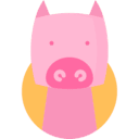 돼지띠. 자세히 알아보기