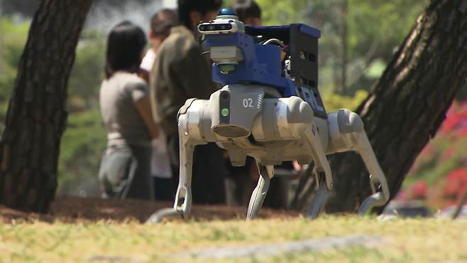 잔디밭을 걷고 있는 카이스트 드림워크++ 탑재 로봇 개
