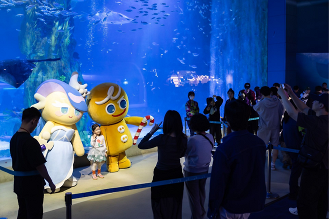 [데브시스터즈]