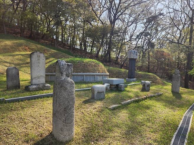 송동마을에 위치한 단종의 장인·장모 묘지. [조병연 기자]