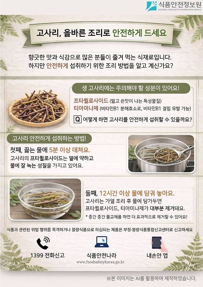 [서울=뉴시스] 25일 식품안전정보원 등에 따르면 고사리에는 프타퀼로사이드(Ptaquiloside)와 티아미나제(Thiaminase) 등의 성분이 포함돼 있다. (사진=식품안전정보원 제공) 2026.04.24. photo@newsis.com *재판매 및 DB 금지