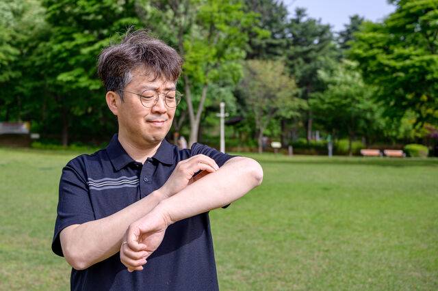 클립아트코리아