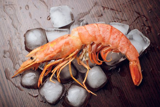 비브리오패혈증은 치명률 30~50%에 이르는 고위험 감염병으로, 해수 온도 상승과 함께 감염 위험이 증가한다. 게티이미지