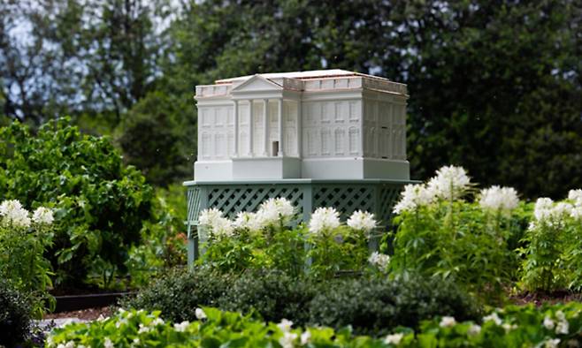 백악관 모양의 벌집. 미국 영부인 사무실은 백악관 사우스론에 추가로 벌집을 설치해 더 많은 양의 꿀을 생산할 계획이라고 밝혔다. 백악관 홈페이지