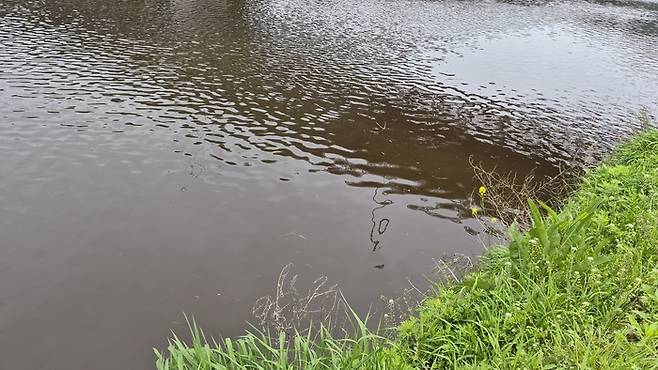 지난 22일 태화강 물 색깔이 혼탁하면서도 붉은빛이 돌고 있다. 독자 제공