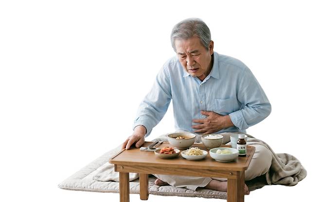 ⓒGoogle Gemini 생성이미지