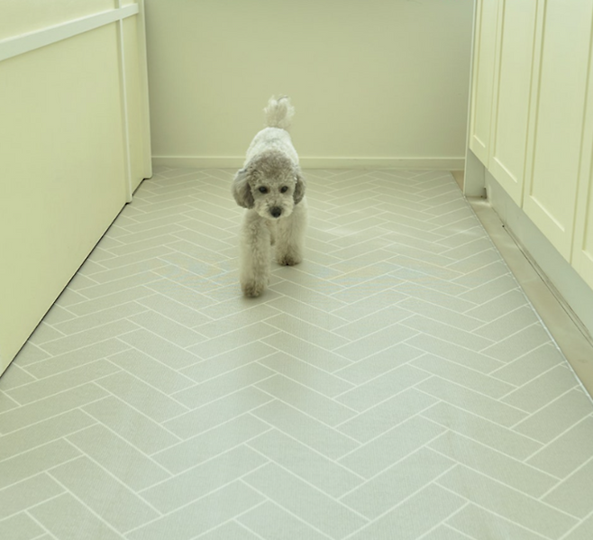 ▲ 구미시 옥성자연휴양림에서 반려동물이 미끄럼방지매트 위를 걷고있다. 사진은 예시장면.구미시