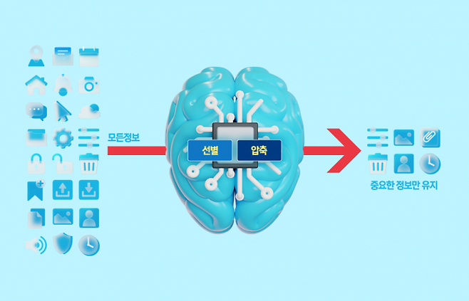 그래픽=이찬희 기자