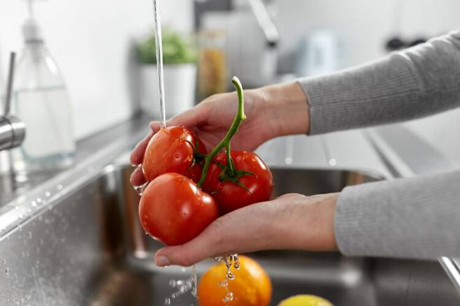 토마토 보관에서 가장 중요한 포인트는 꼭지를 유지하는 것이다. 사진=클립아트코리아