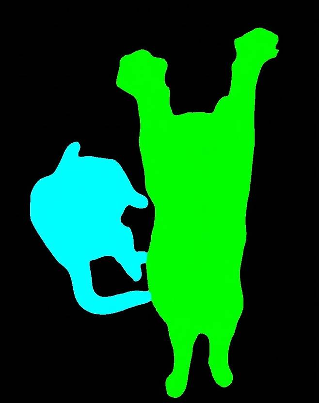 비전 바나나가 웅크린 고양이(하늘색)와 팔을 뻗은 고양이(초록색)를 구분한 모습 (구글 딥마인드 기술 보고서 갈무리)