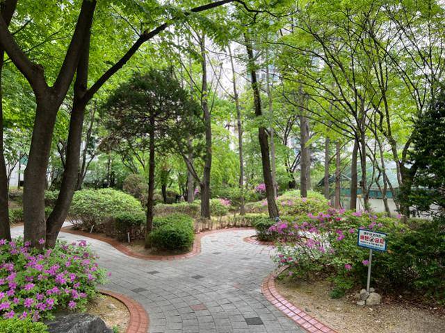 단지가 오래된 만큼, 곳곳에 녹음이 우거진 것도 장점이다. 주민들은 산책로 이용이 편리한 것도 장점으로 꼽았다. 김민호 기자