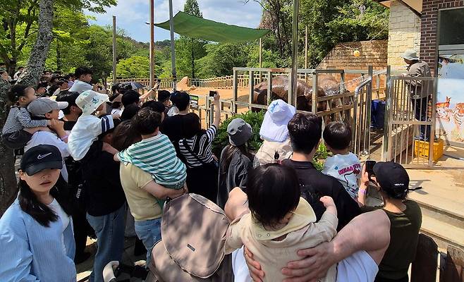 26일 오후 광주광역시 북구 우치동물원 코끼리사 앞에서 방문객들이 코끼리 모녀가 목욕하는 모습을 지켜보고 있다. 황희규 기자