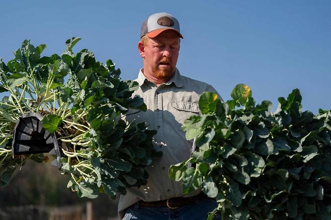 사진=게티이미지