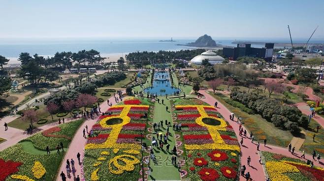 세계에서 처음으로 꽃과 힐링을 주제로 열린 2026 태안국제원예치유박람회가 지난 25일 충남 태안 꽃지해안공원에서 개막한 가운데 서해와 맞닿은 박람회장이 꽃 물결로 물들어 있다.  태안 도준석 전문기자