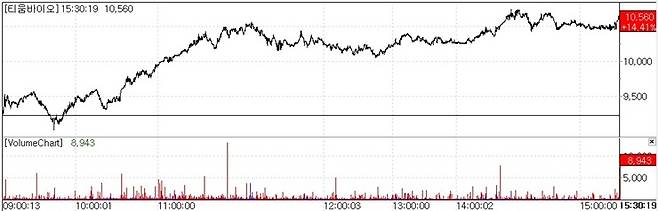 TiumBio stock trend.(Source=KG Zeroin’s MP DOCTOR)