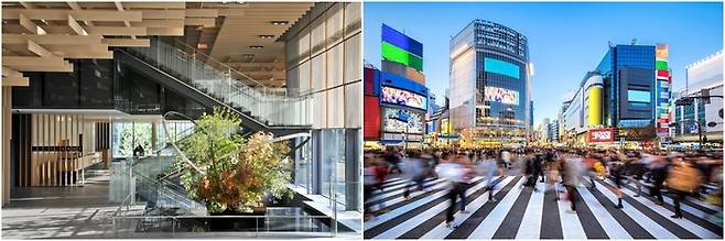 (좌)도쿄 더 캐피톨 호텔 도큐의 로비 (우)도쿄 시부야교차로